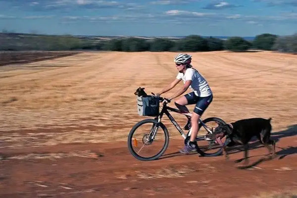 Biking and Hiking With Your Dog
