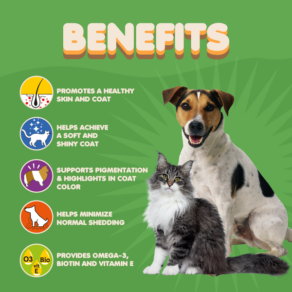 Suplemento para piel y pelaje para perros y gatos