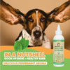 Dog Ear Cleaner. 4 Oz Makondo