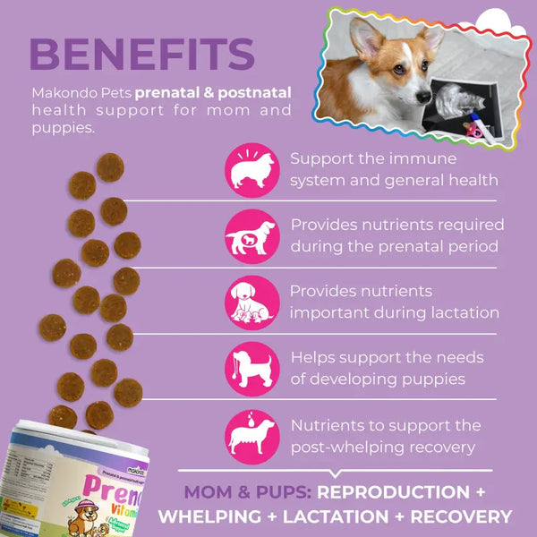 Dog Prenatal Vitamins 120 Soft Chews Makondo