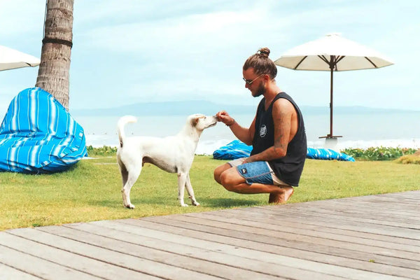 Man feeding white dog.