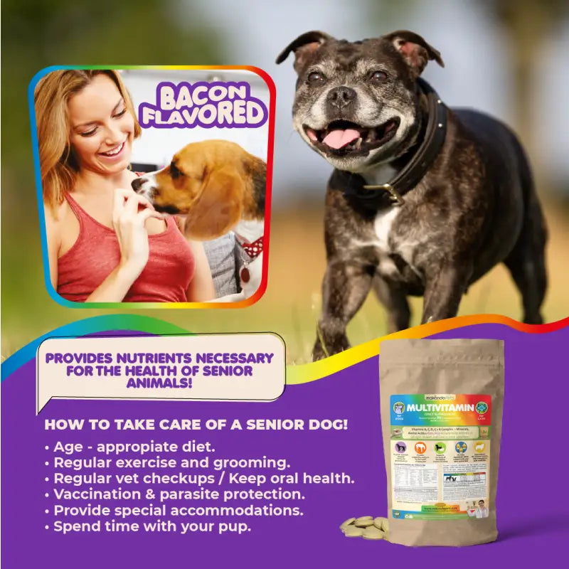 Multivitamin For Dogs & Cats. Prenatal Vitamins - Supplement