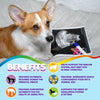 Multivitamin For Dogs & Cats. Prenatal Vitamins - Supplement