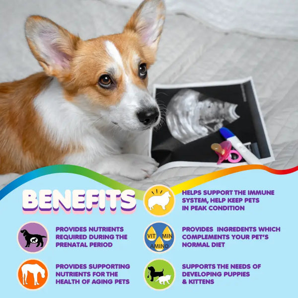 Multivitamin For Dogs & Cats. Prenatal Vitamins - Supplement