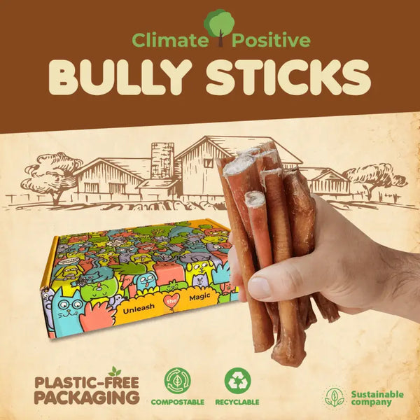 Premium Bully Sticks 100% Natural. Climate Positive 6 - 12
