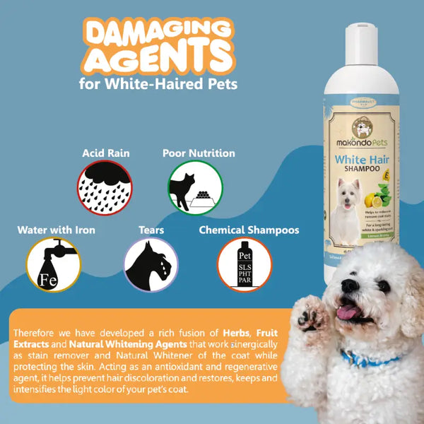 Whitening Dog Shampoo With Aloe Vera Makondo