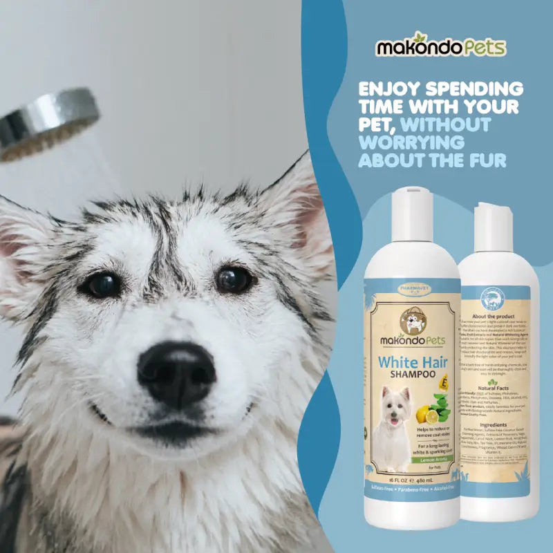 Whitening Dog Shampoo With Aloe Vera Makondo