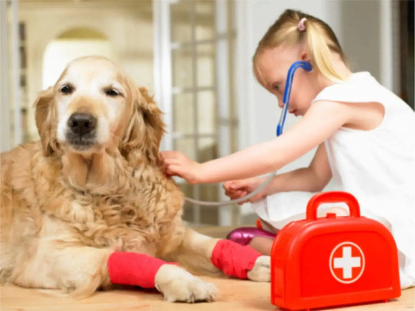 Tips For Choosing a Veterinarian