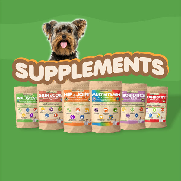 Dog Supplements and Grooming
