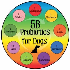 dog probiotics