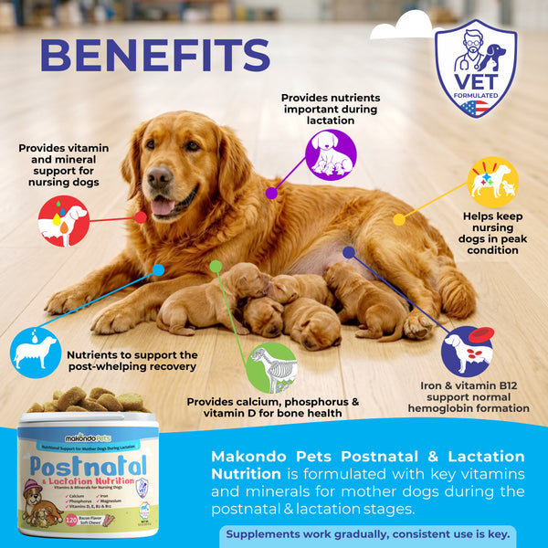 Dog Postnatal & Lactation Nutrition | 120 Soft Chews