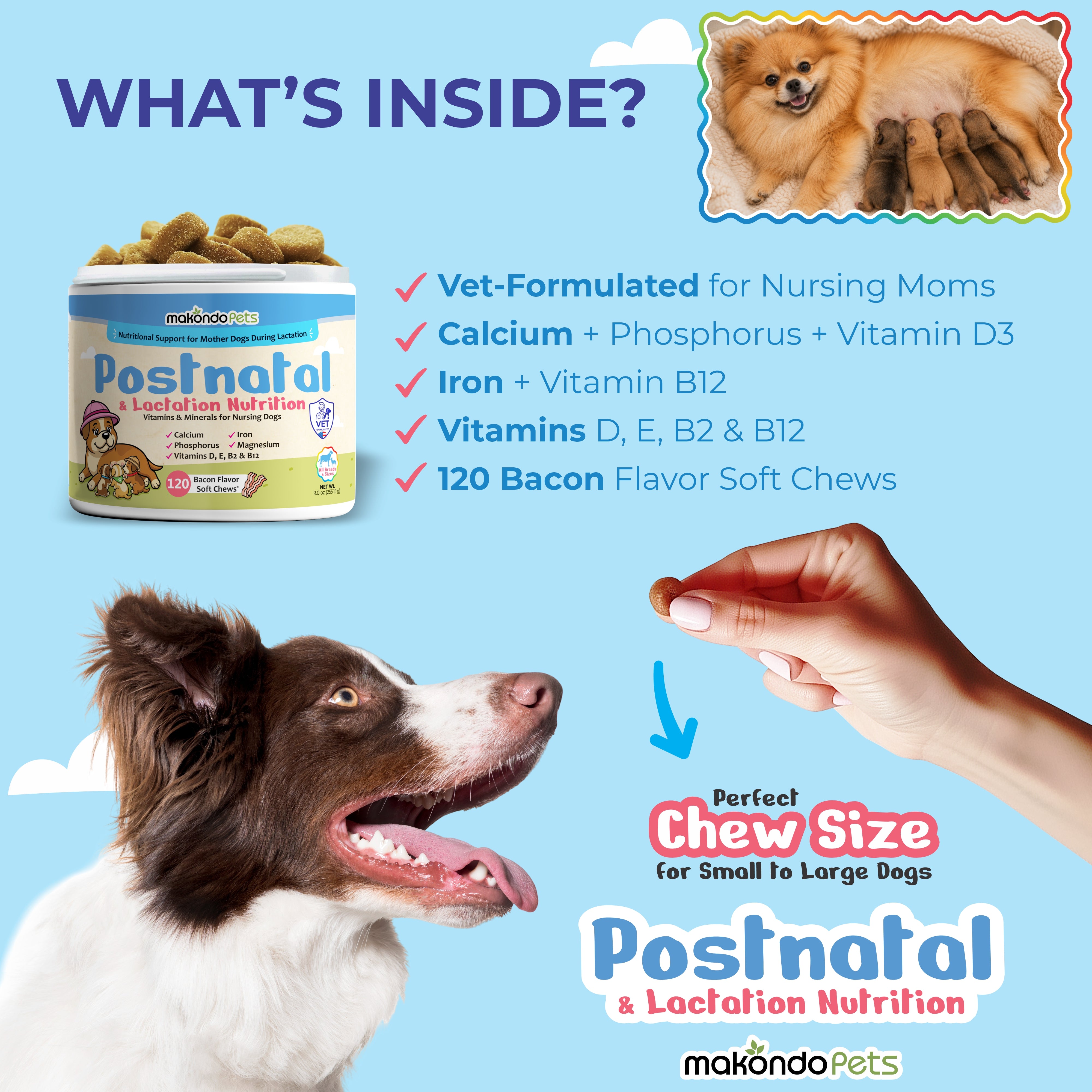 Dog Postnatal & Lactation Nutrition | 120 Soft Chews