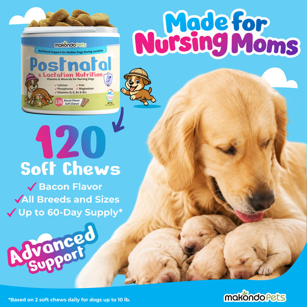 Dog Postnatal & Lactation Nutrition | 120 Soft Chews