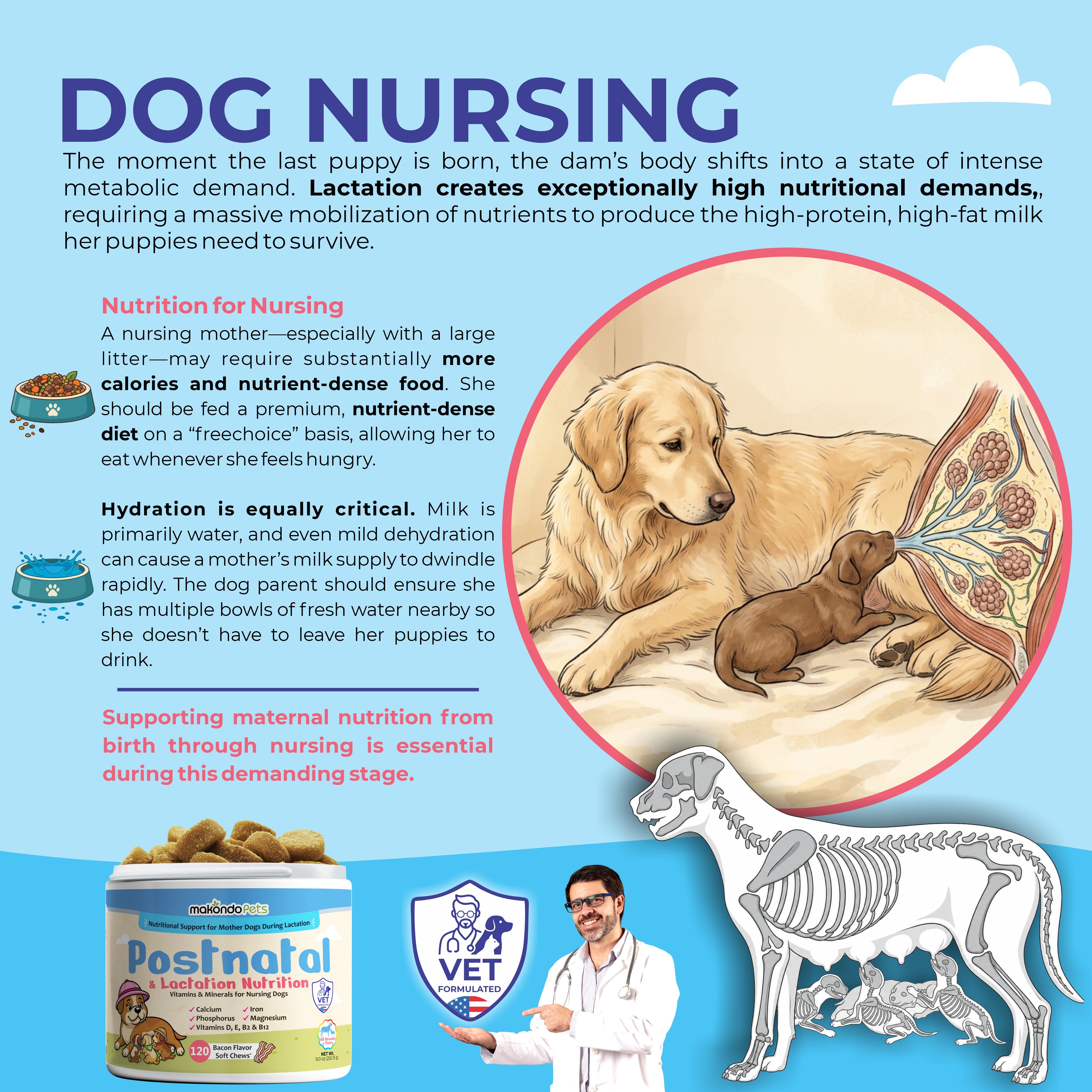 Dog Postnatal & Lactation Nutrition | 120 Soft Chews