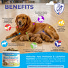 Dog Postnatal & Lactation Nutrition | 120 Soft Chews | Breeders