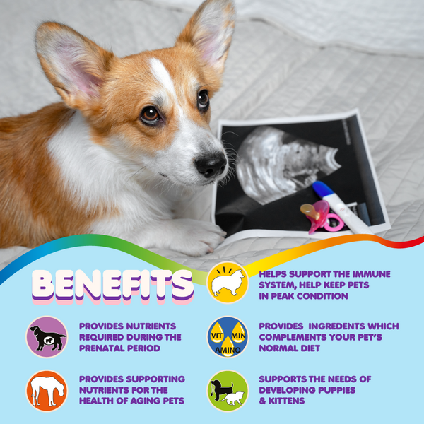 Multivitamin for Dogs & Cats. Prenatal Vitamins. 60 Tabs