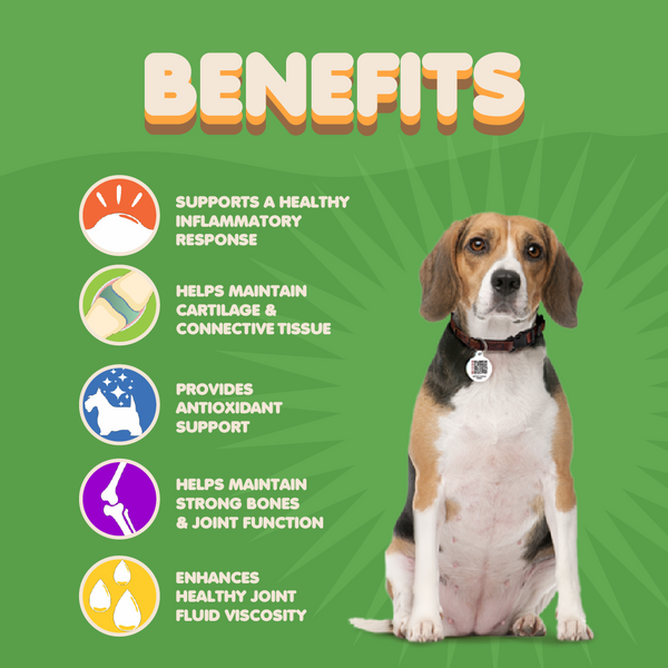 Hip and Joint Supplement for Dogs. 60 Tabs