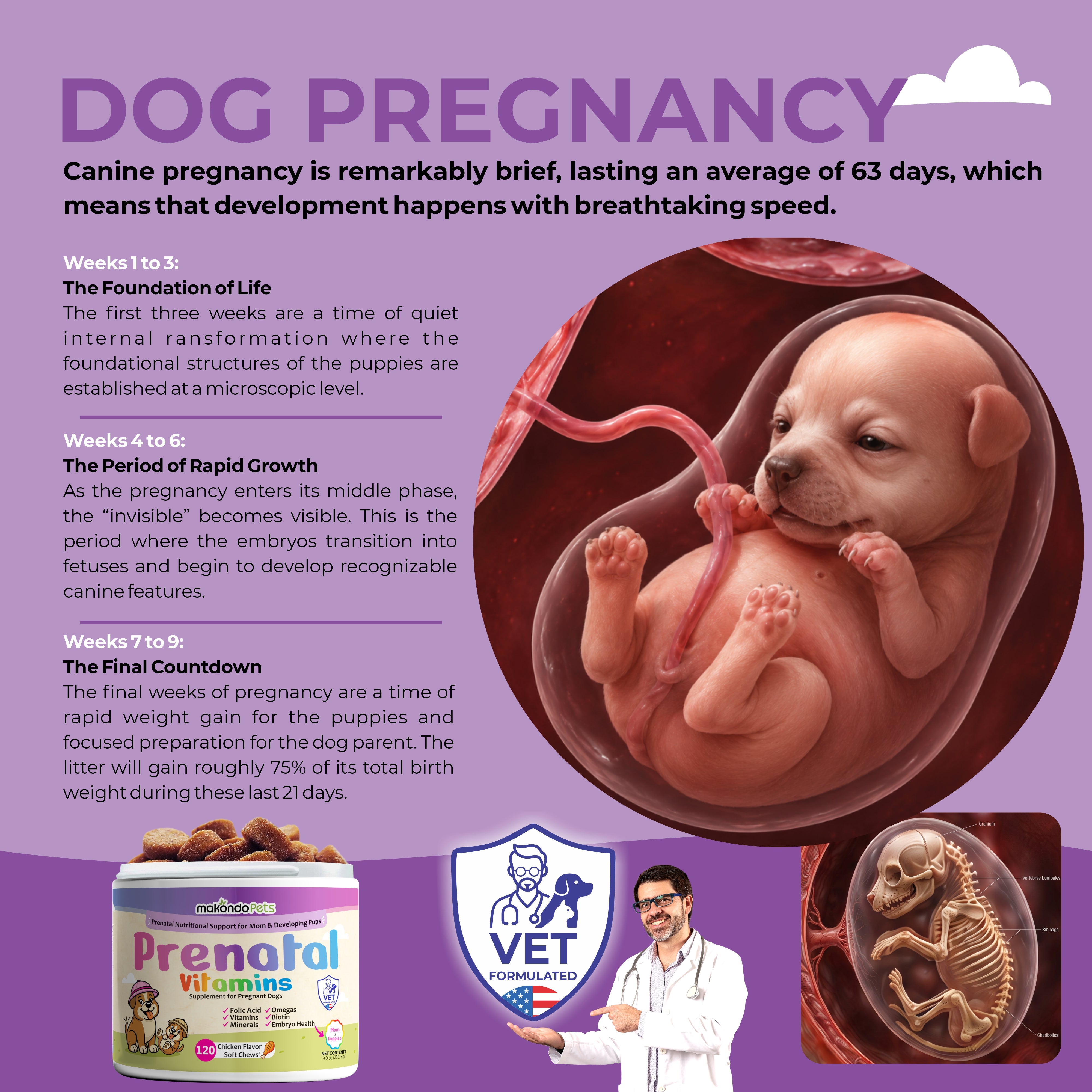 Dog Prenatal Vitamins - 120 Soft Chews