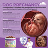 Dog Prenatal Vitamins - 120 Soft Chews
