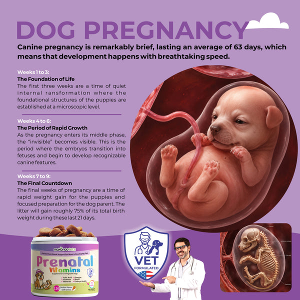 Dog Prenatal Vitamins - 120 Soft Chews