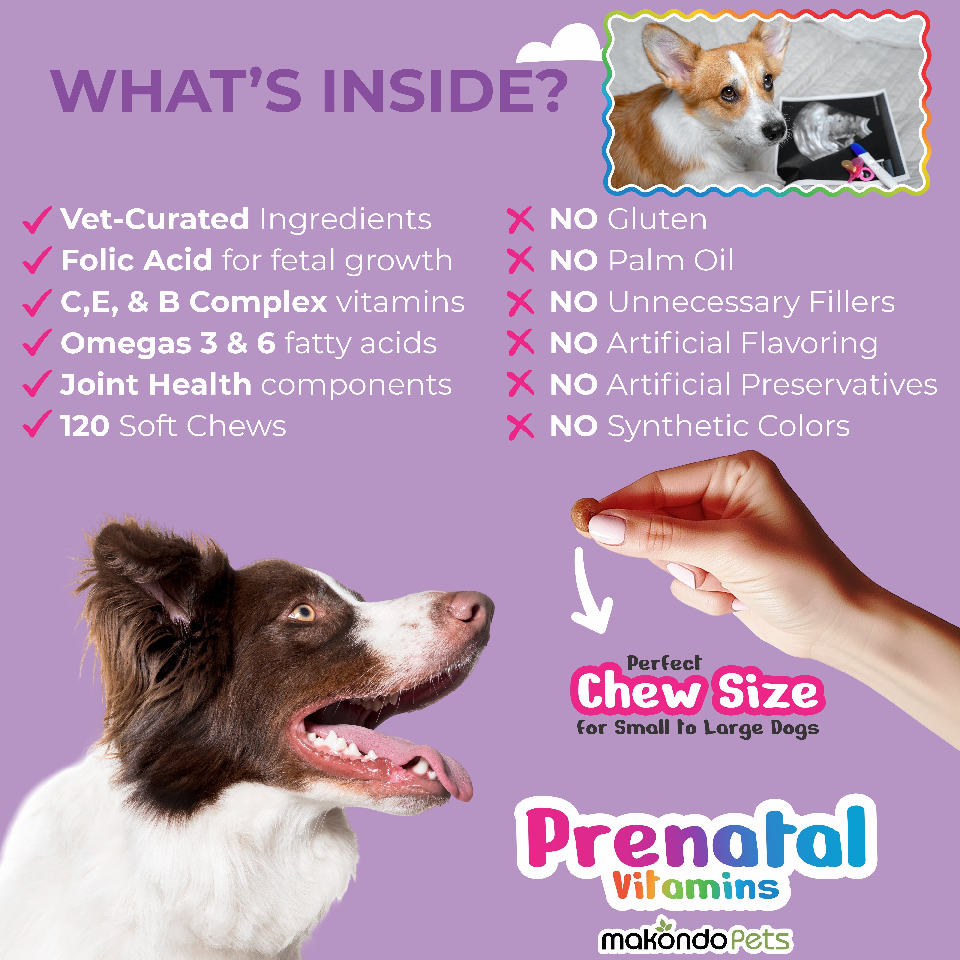 Dog Prenatal Vitamins - 120 Soft Chews