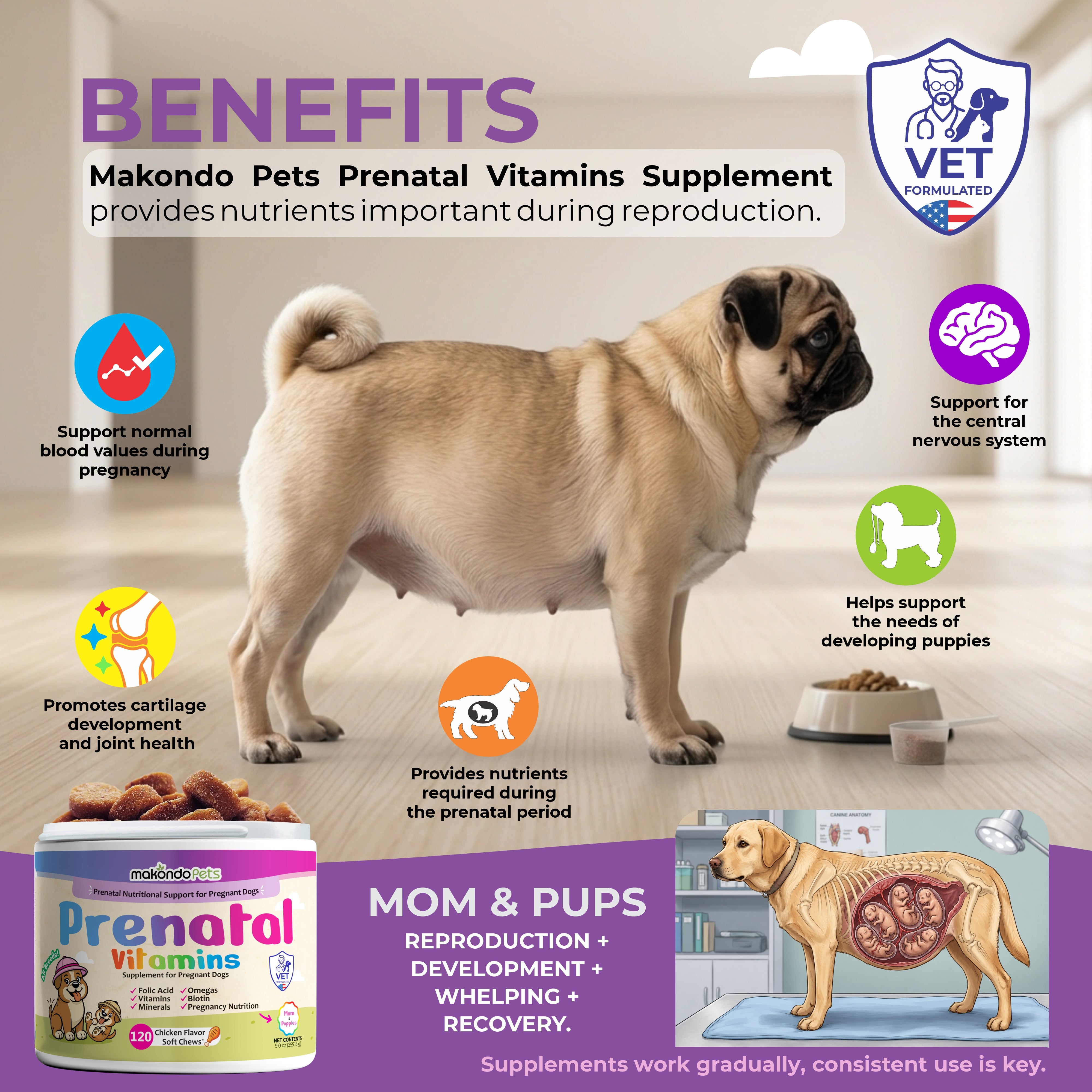 Dog Prenatal Vitamins | All Breeds | 120 Soft Chews