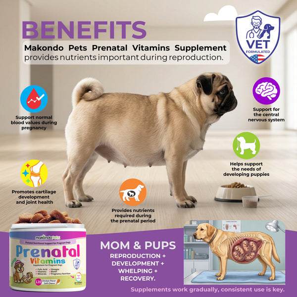 Dog Prenatal Vitamins | All Breeds | 120 Soft Chews
