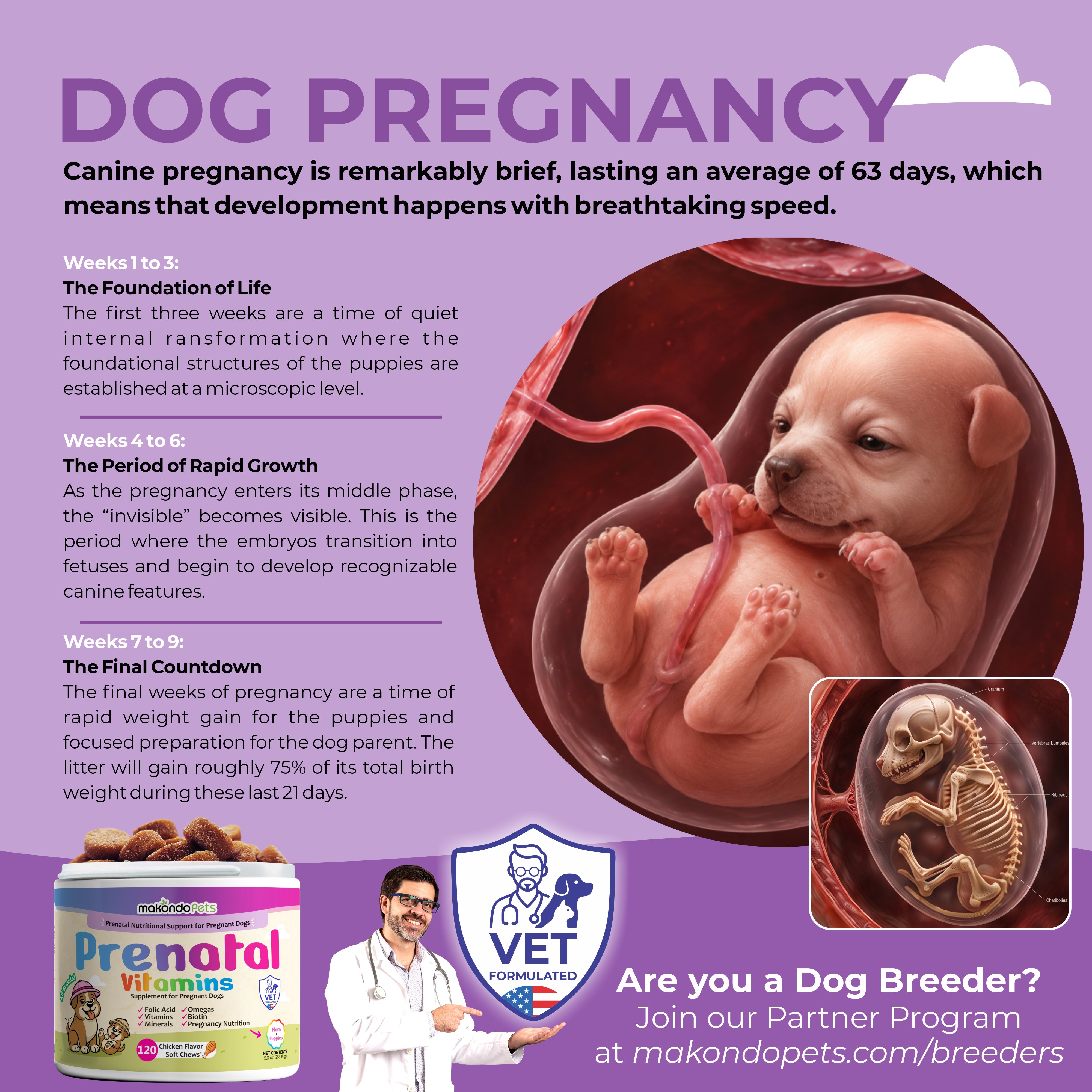 Dog Prenatal Vitamins | All Breeds | 120 Soft Chews