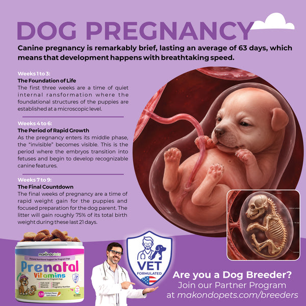 Dog Prenatal Vitamins | All Breeds | 120 Soft Chews