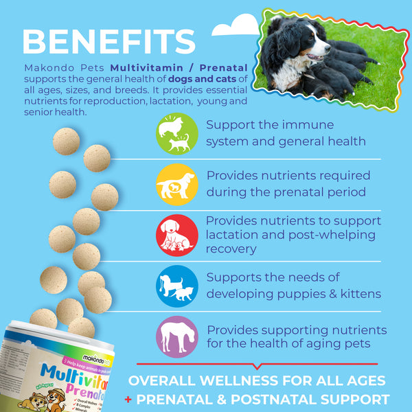 Multivitamínico para perros y gatos. Vitaminas prenatales 