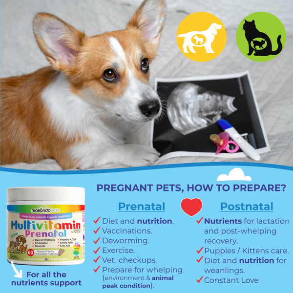 Multivitamínico para perros y gatos. Vitaminas prenatales 