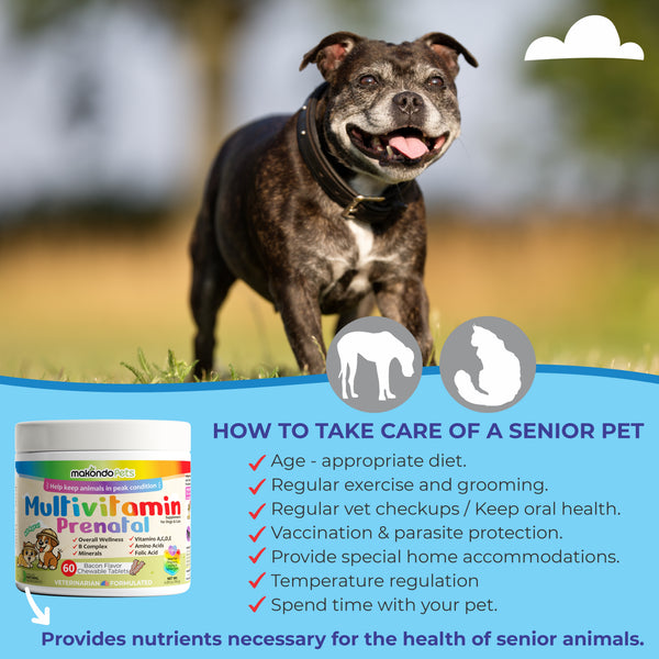 Multivitamínico para perros y gatos. Vitaminas prenatales 