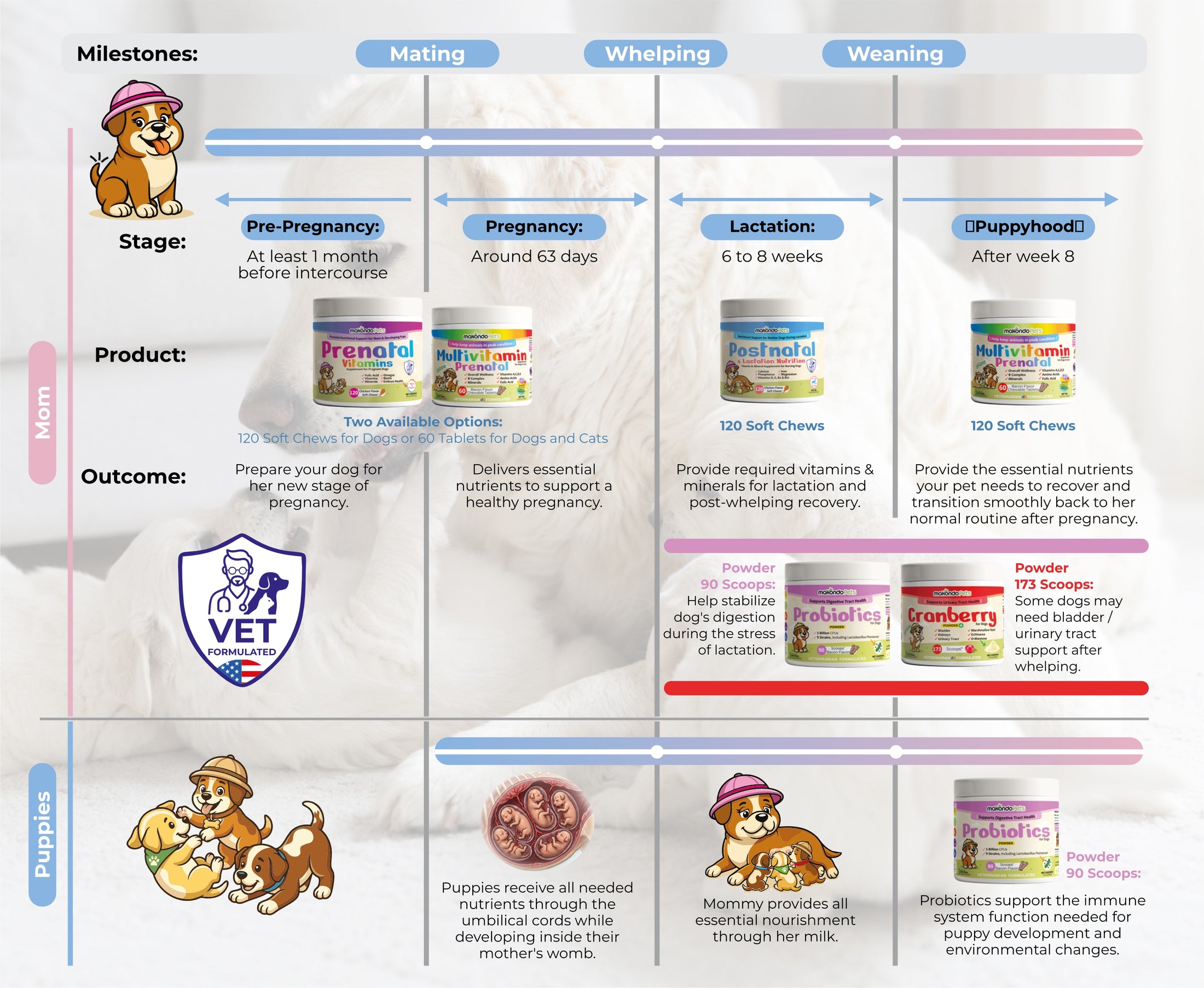 Canine pregnancy, whelping, lactation and puppyhood care roadmap