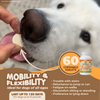 Hip and Joint Supplement for Dogs. 60 Tabs