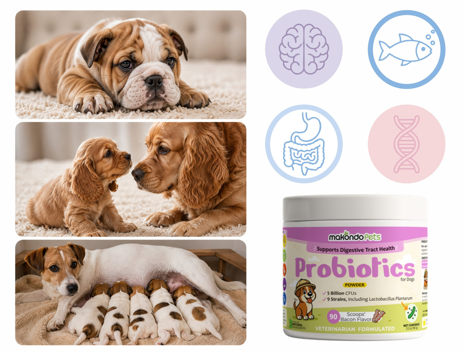 Mother dog and puppies supported during early development