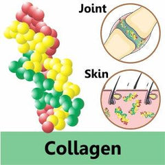 collagen for dogs and cats