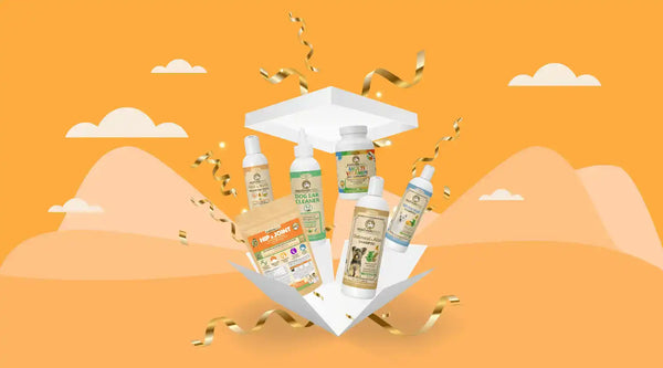 Dog grooming products in a gift box.