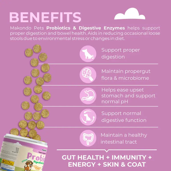 Dog Probiotics Digestive Enzymes 120 Soft Chews Makondo