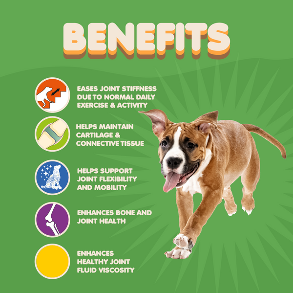 Collagen for Dogs and Cats. 60 Tabs