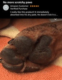 Dog’s paw with moisturized pads.