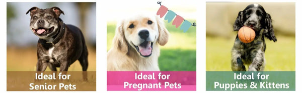 suplemento para perras preñadas