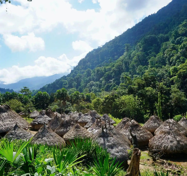 Traditional thatched-roof village.