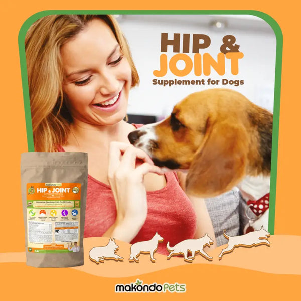 Bundle Hip And Joint Supplement - 3 Or 6 Pack - Pet Vitamins