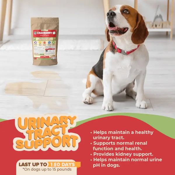 Urinary tract food clearance for dogs