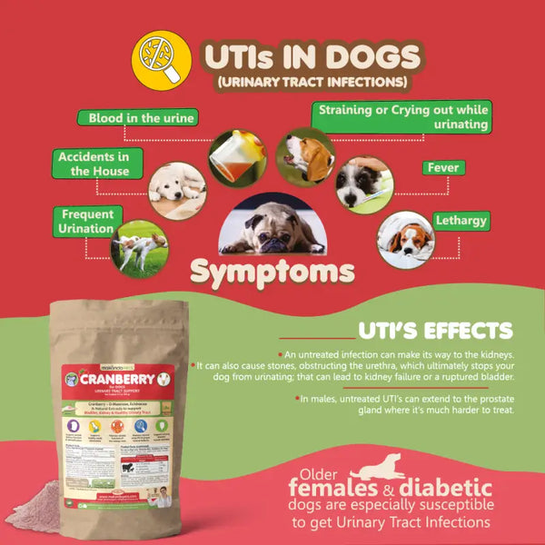 can i give my dog cranberry tablets for uti