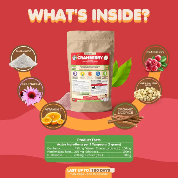 High ascorbic acid sales in dog urine