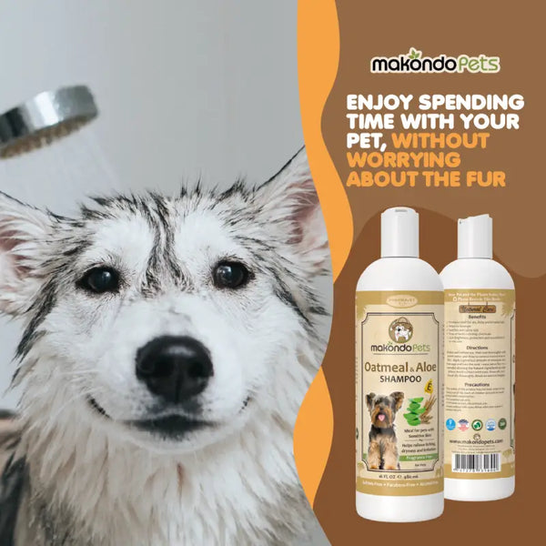 Oatmeal and aloe shampoo for dogs clearance