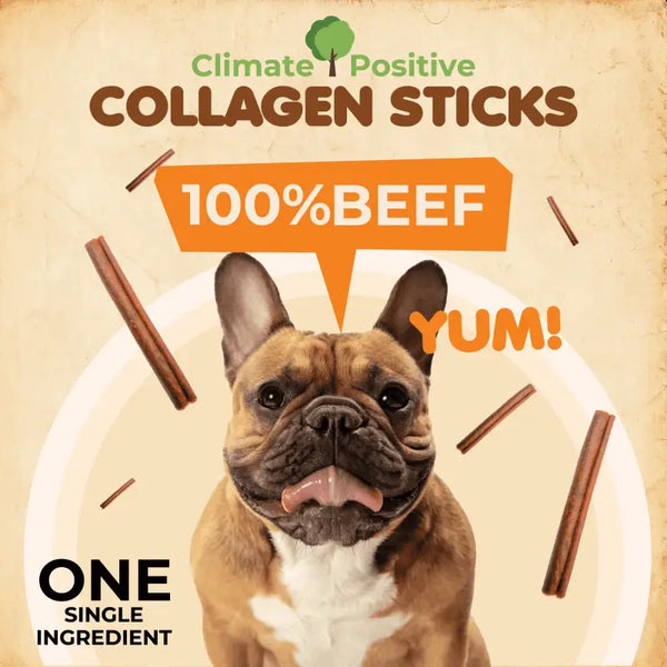 Premium Collagen Sticks 100% Natural. Climate Positive 6 -