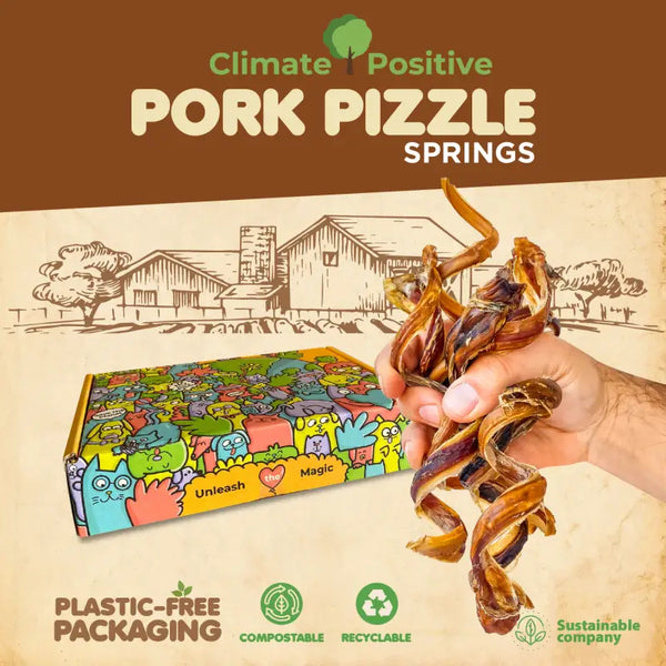 Premium Pork Pizzle Springs 100% Natural. Climate Positive 6