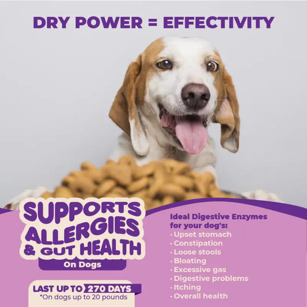5b Probiotics For Dogs And Puppies - Supplement